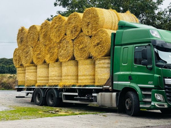 2026 — Hay & Straw — 2026 - Main image