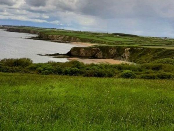 Wexford 3 acres. Private Lane NO ENTRY. - Main image