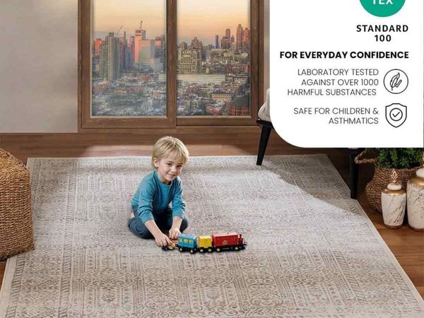 Evora Vintage Rug - Area Rugs for Living Room for sale in Dublin for € ...