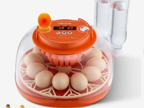 no-image
