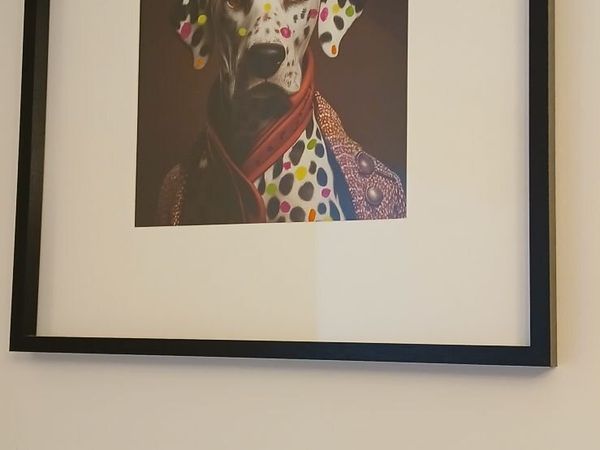 no-image