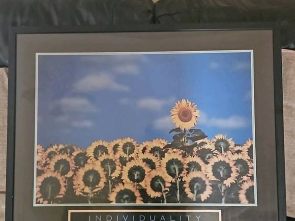 no-image