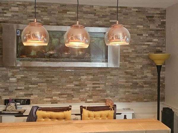 no-image