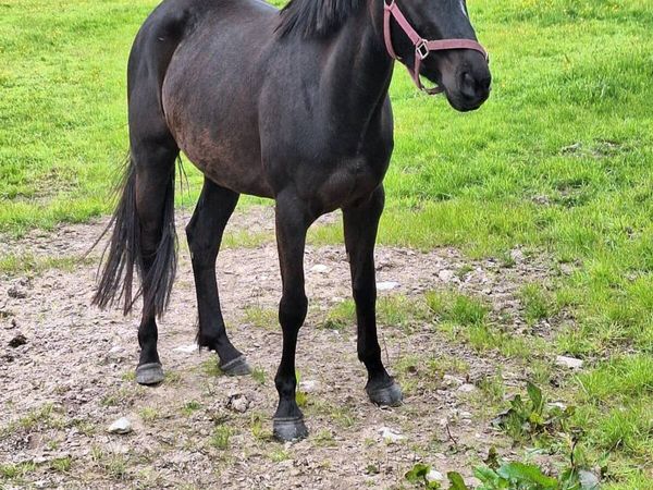 no-image