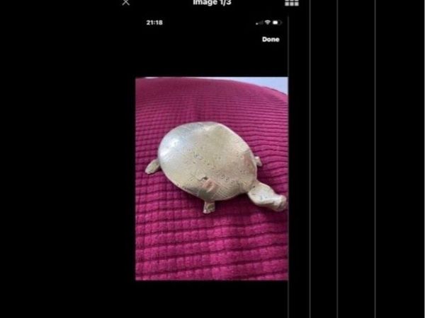 no-image