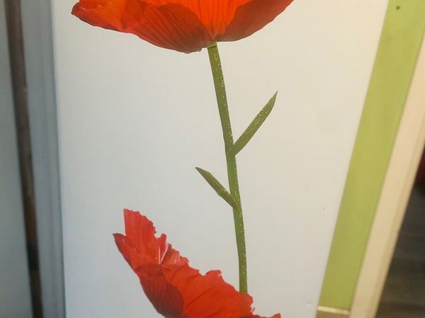 no-image