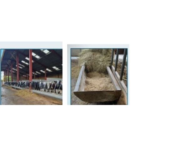 no-image