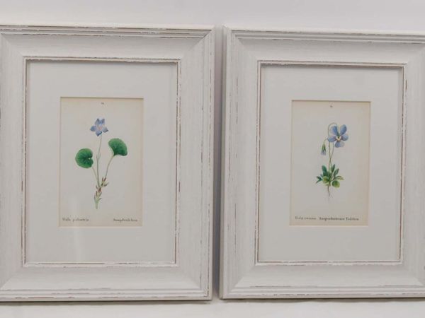 no-image