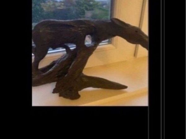 no-image