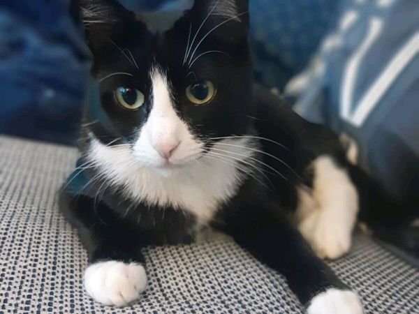 no-image