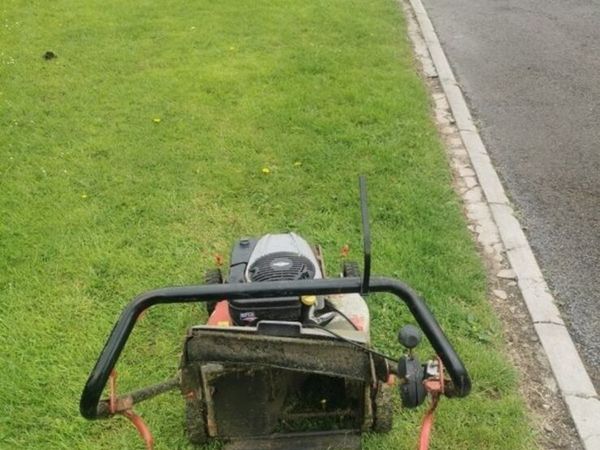 no-image