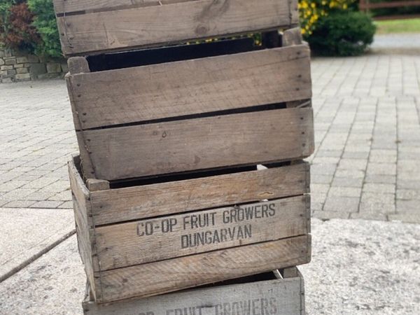 no-image