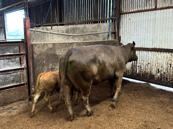 no-image
