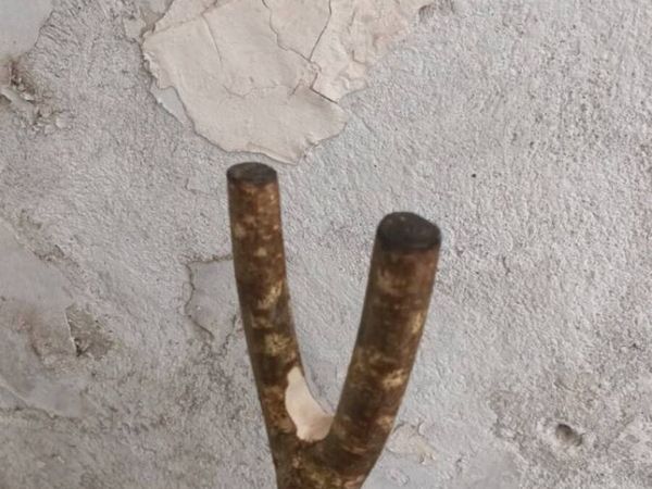 no-image