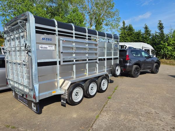 no-image