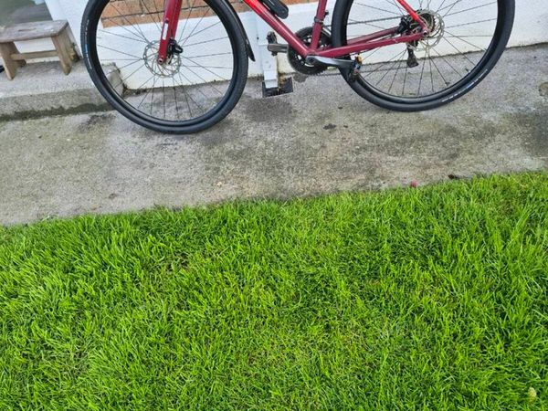 no-image