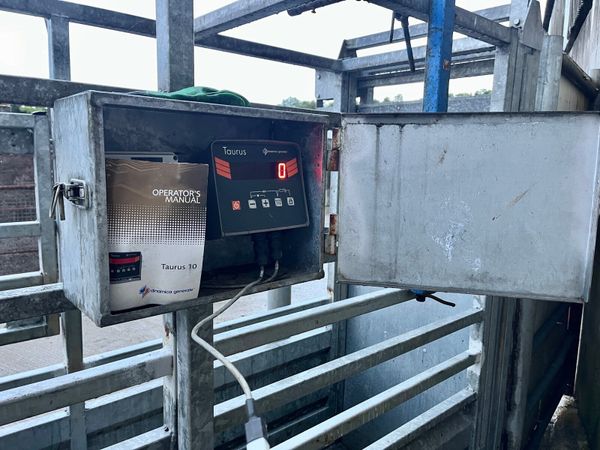 Cattle Crush and Weighing Crate for sale in Co. Limerick for €3,999 on ...