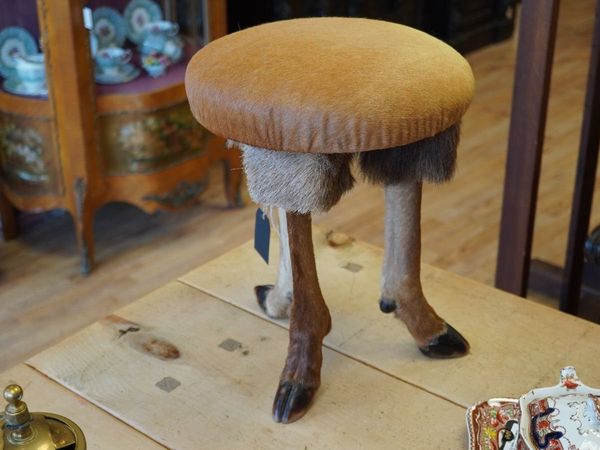 Vintage Taxidermy Deer Leg Stool for sale in Limerick for €280 on DoneDeal