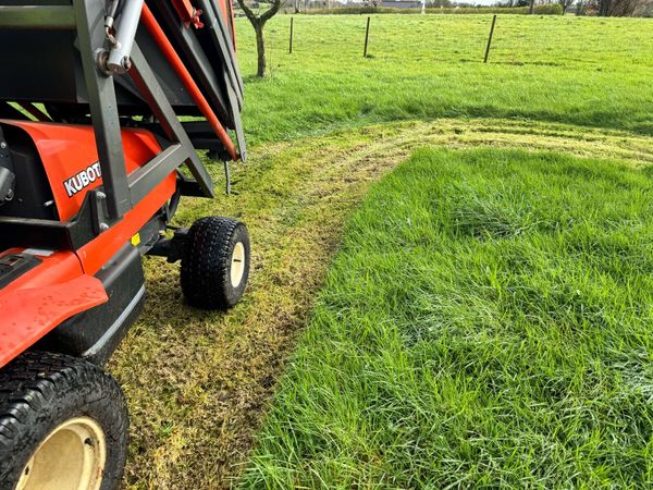 no-image