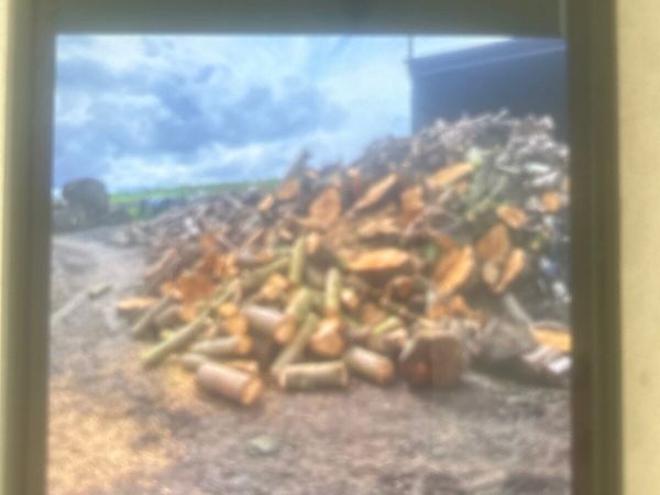 Timber - Main image