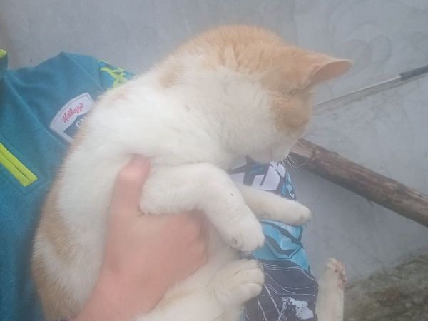 no-image