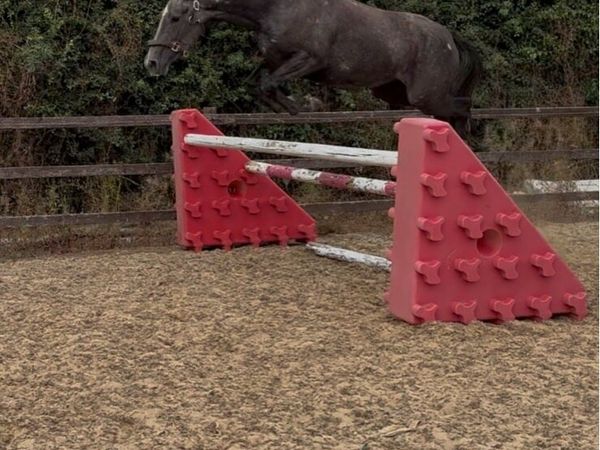 no-image