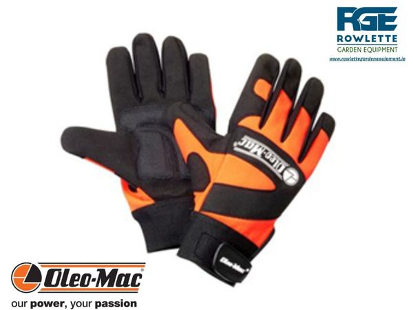no-image