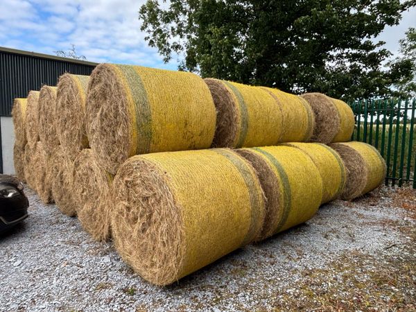 Round bales of hay - Main image