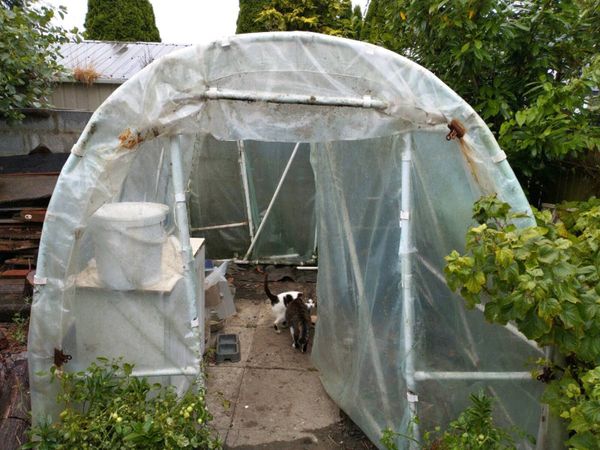 Poly tunnel - Main image