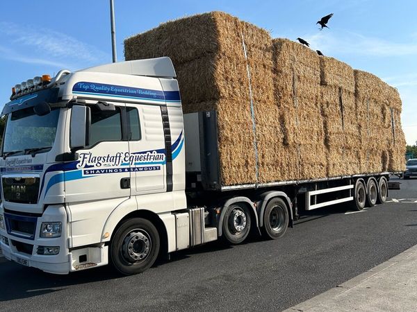 Straw for sale - Main image