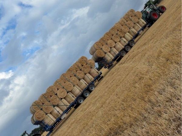 Barley straw - Main image