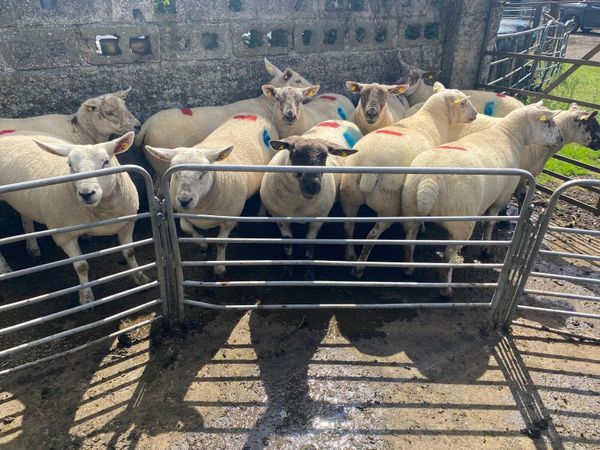 no-image