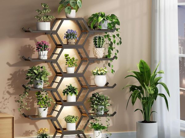 no-image
