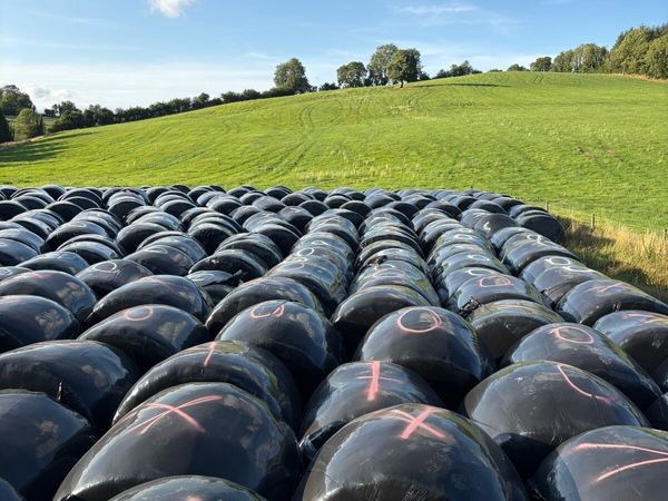 Bales - Main image