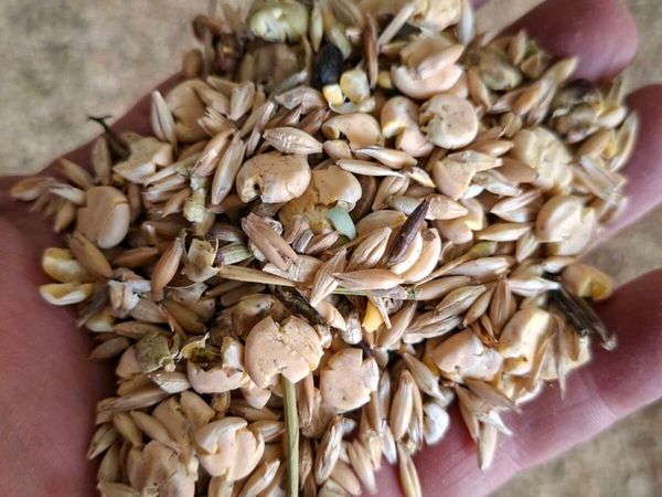 Organic meal  combi crop feed and ration - Main image