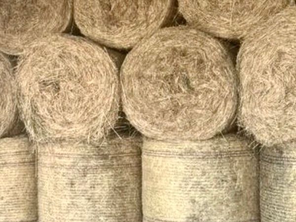 Hay and straw - Main image