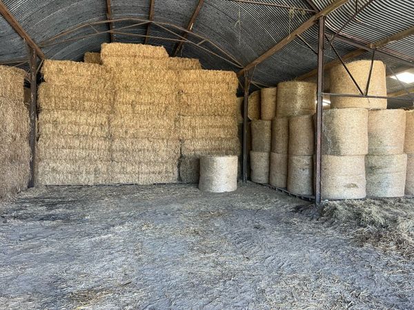 Hay and straw for sale - Main image