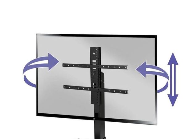 no-image