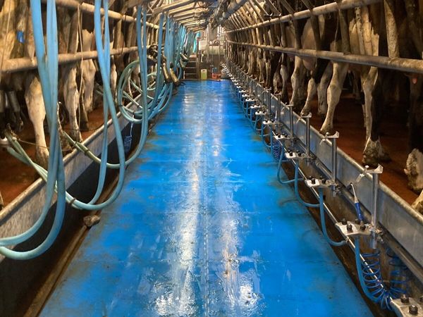 Relief milker - Main image