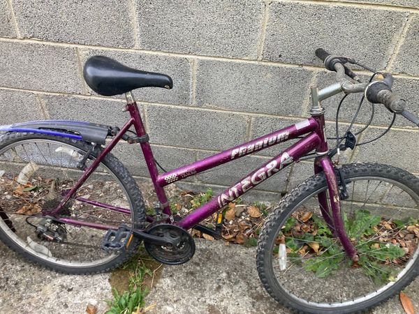 no-image