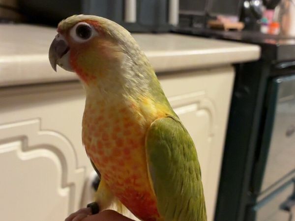 no-image
