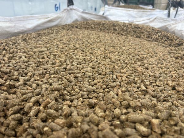 no-image