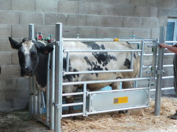 Jourdain 3-in-1 Calving Gate - Main image