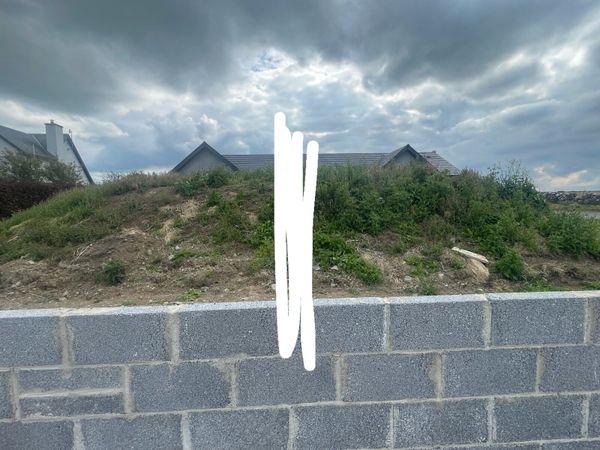 no-image
