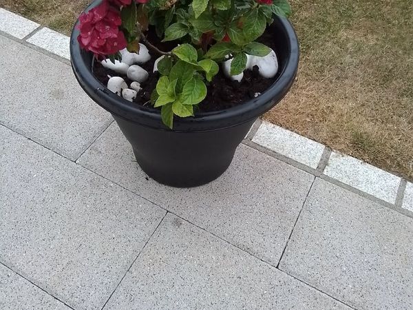 no-image