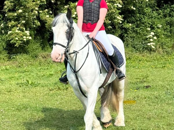 Cob pony - Main image