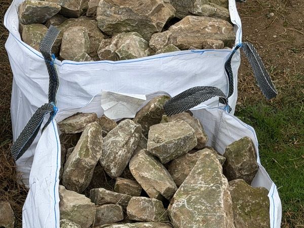 no-image