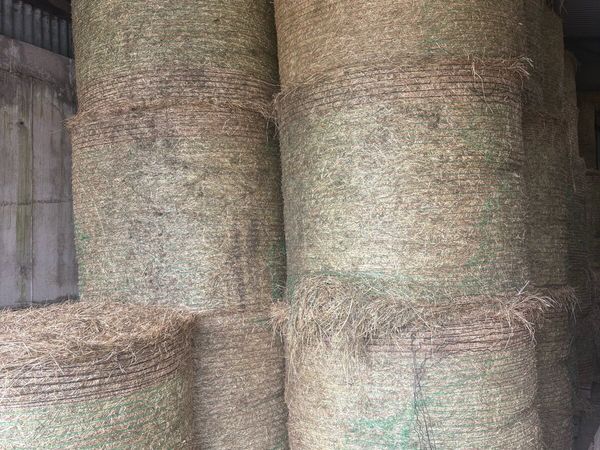Round Bales of Hay - Main image