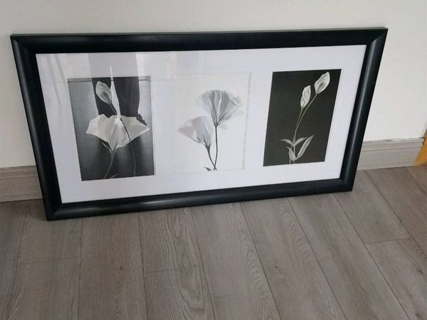 no-image