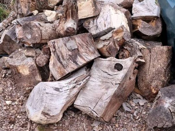 no-image